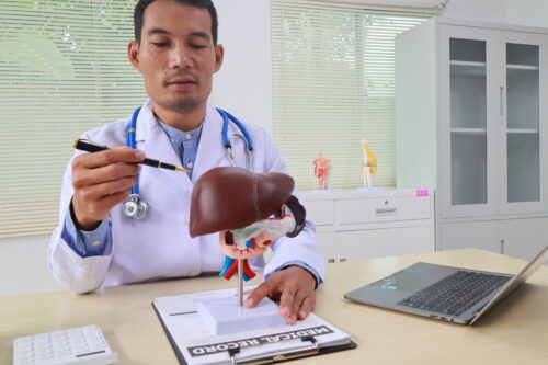 A doctor in a white coat points at a liver model with a pen while discussing the diagnosis of internal injuries, sitting at a desk with a medical record form, laptop, and anatomical models in the background.
